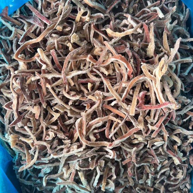 black fungus black fungus