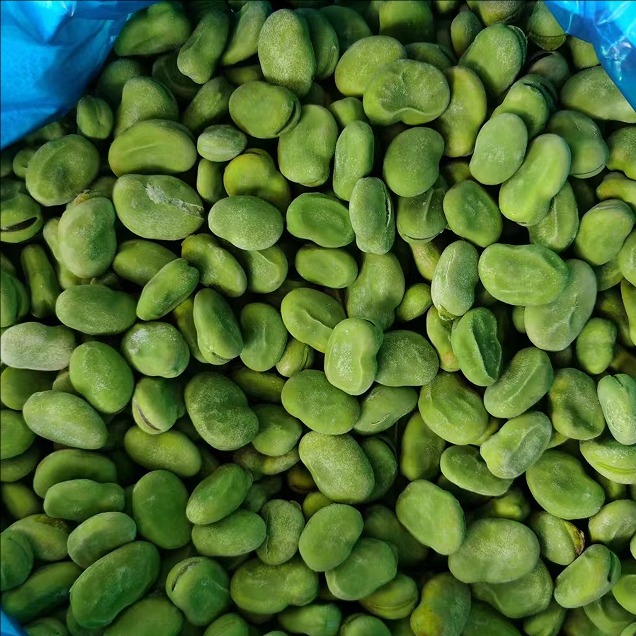 broad beans broad beans